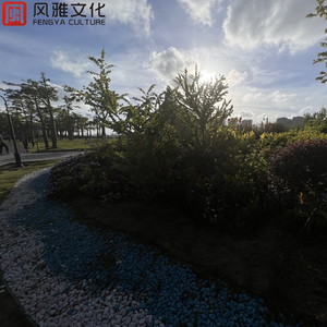 Z〇ZOZ○女人Z〇Zo挤奶大叫
